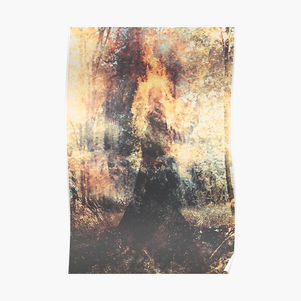 Dans Le Sillage Du Soleil Poster