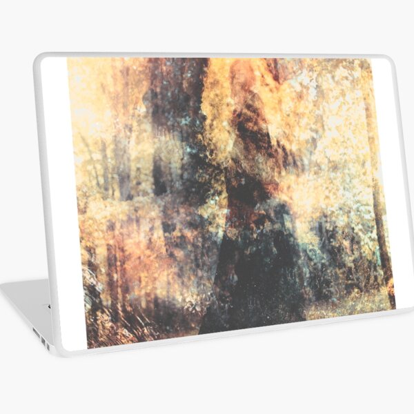 Dans Le Sillage Du Soleil Laptop Skin