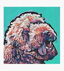 Poodle Labradoodle Golden Doodle Dog Bright colorful pop dog art Photographic Print
