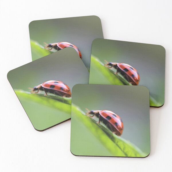Item preview, Ladybird designed and sold by hevansphoto98.