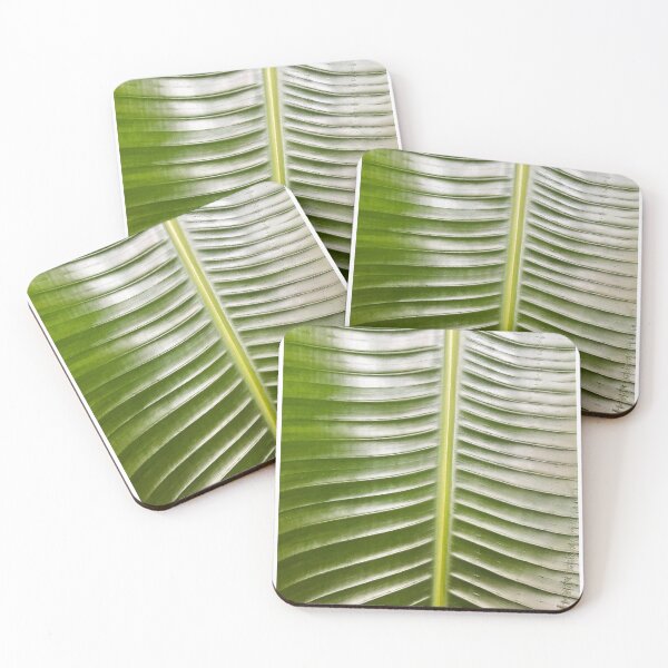 Artikelvorschau, Tropische Pflanze Palme Banane exotisch Blatt entworfen und verkauft von svenjakruchten.
