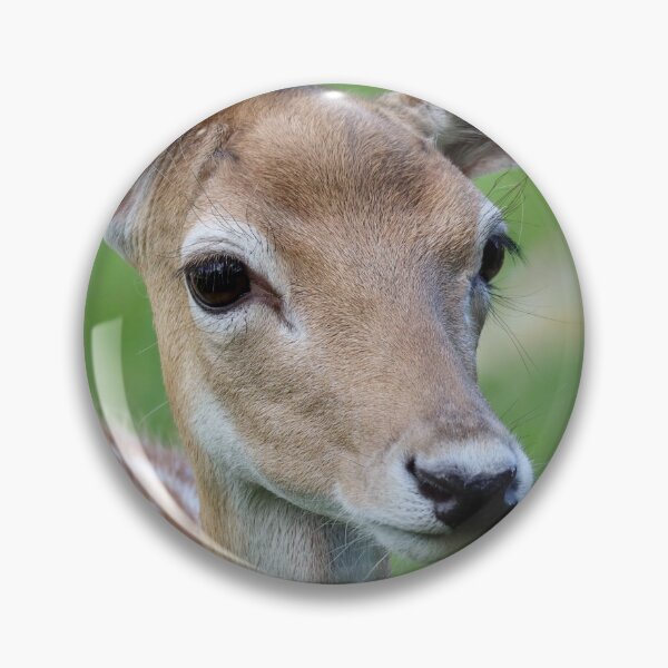 Item preview, Doe a deer... designed and sold by Rubecula.