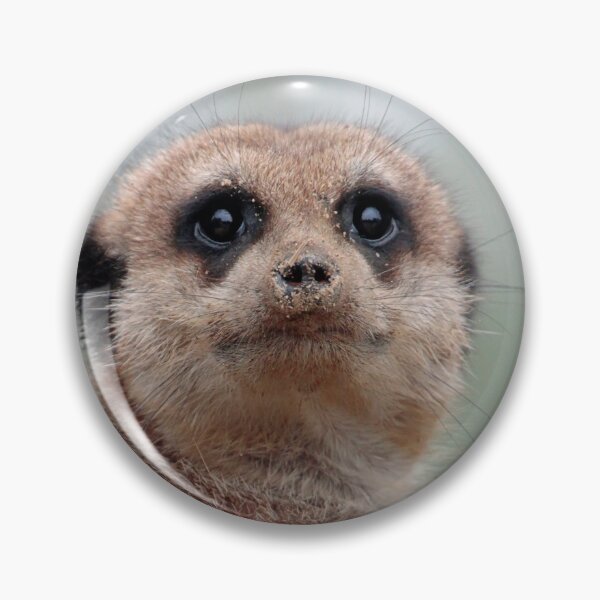 Artikelvorschau, Meerkat 036 entworfen und verkauft von JAMFoto.