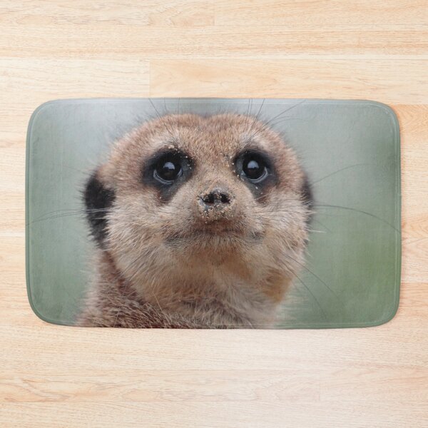 Item preview, Meerkat 036 designed and sold by JAMFoto.