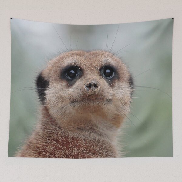 Item preview, Meerkat 036 designed and sold by JAMFoto.