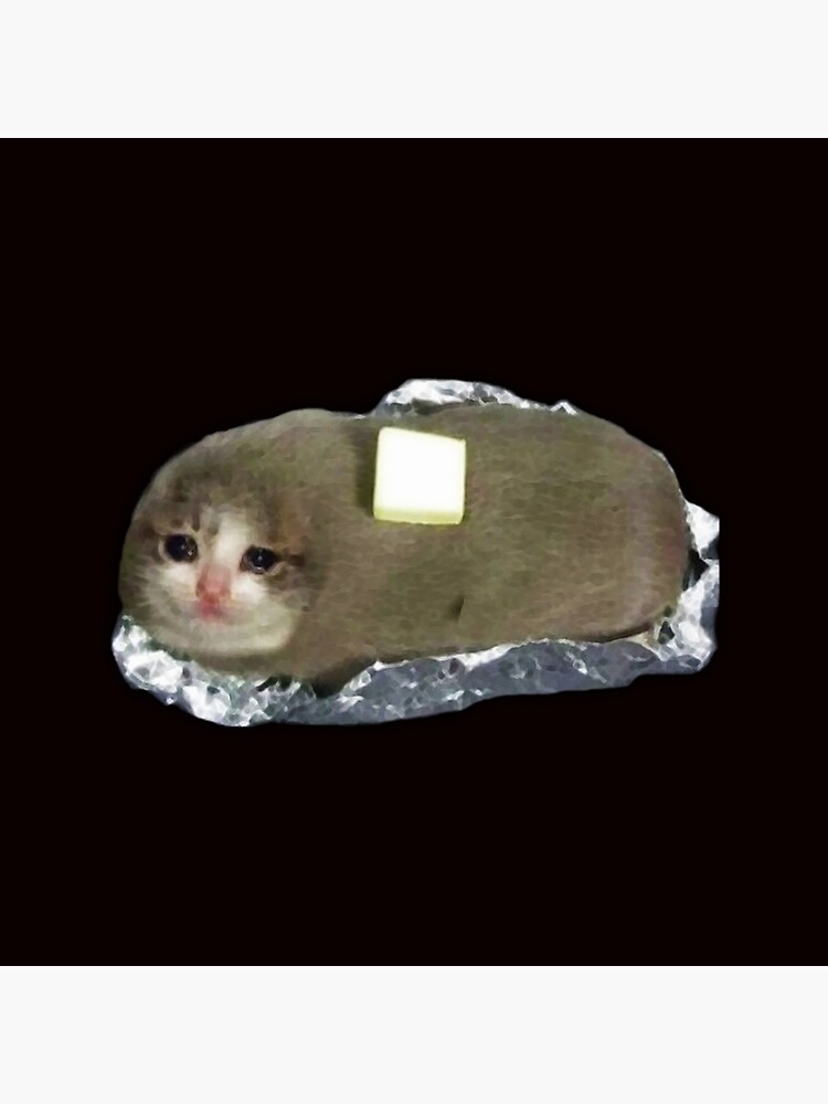 sad potato cat