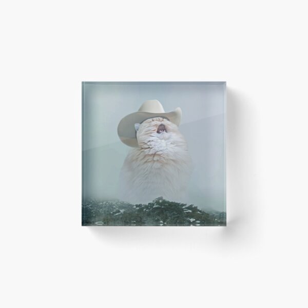 Cowboy Cat | Love Cat T-Shirt Acrylic Block