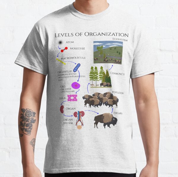 Levels of Organization Classic T-Shirt