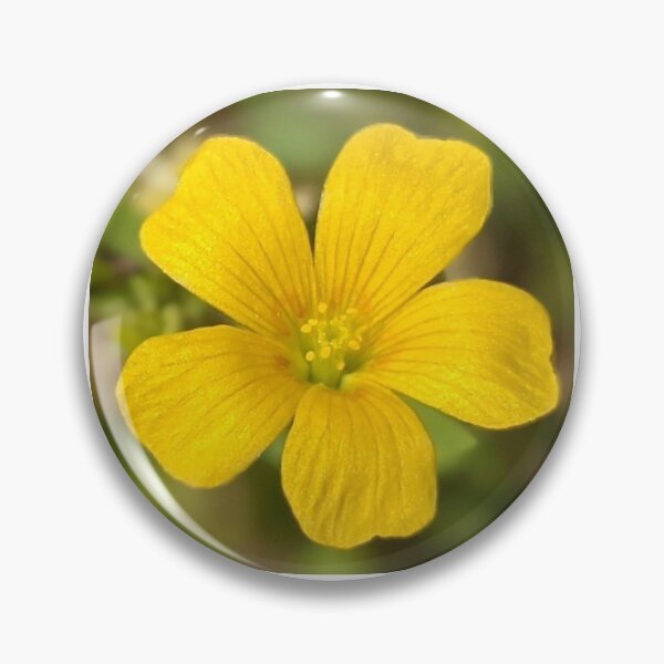 Item preview, Tiny Yellow Flower Photographic Image designed and sold by AustaArt.