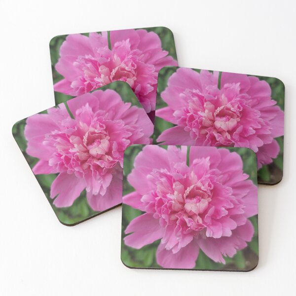 Item preview, Pink peonies in or yard designed and sold by David D. Shaw.