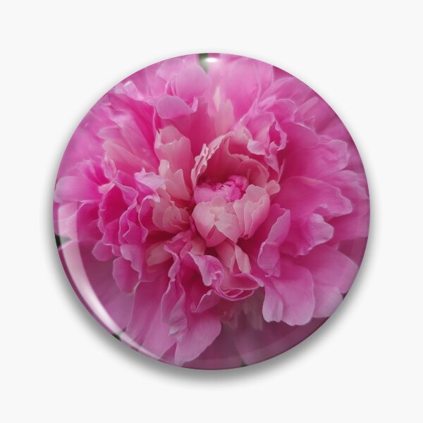 Item preview, Pink peonies in or yard designed and sold by David D. Shaw.