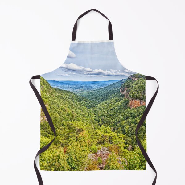 Item preview, Cloudland Canyon Georgia State Park designed and sold by GestaltImagery.