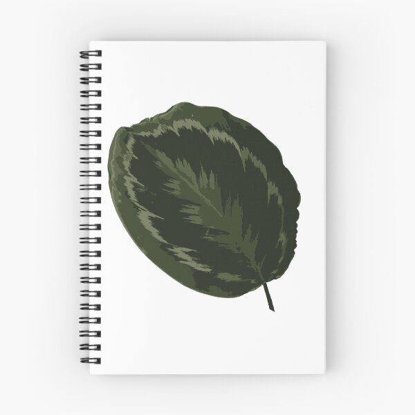 Item preview, Calathea Medallion designed and sold by Lilbel.