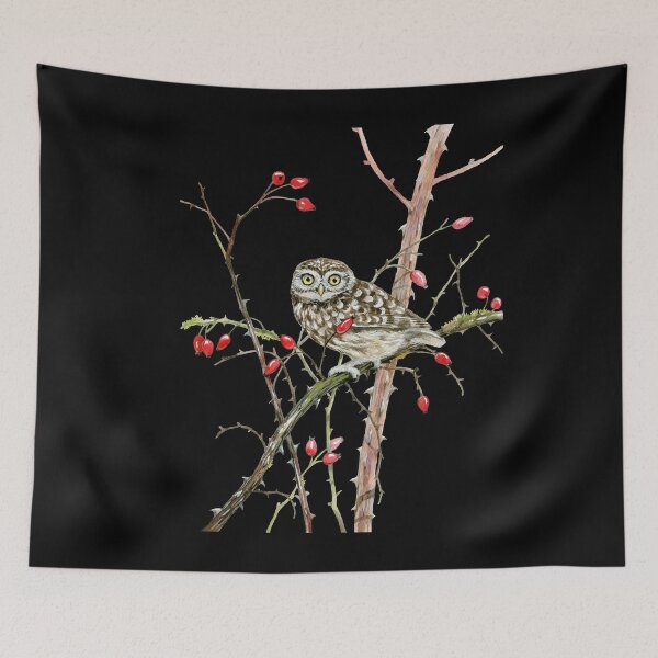 Item preview, Little owl eagle owl owl forest bird sparrow rose hip ornithology designed and sold by Ivyart24.