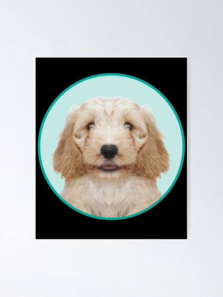 gifts for cockapoo lovers