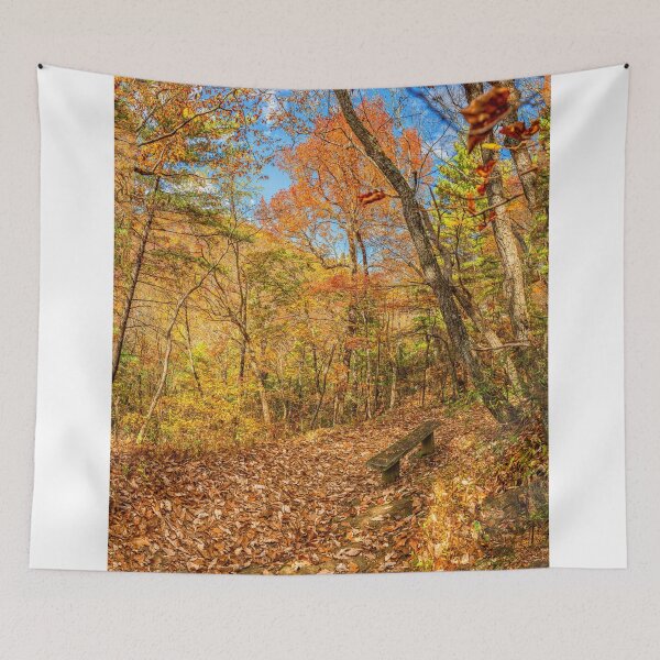 Item preview, A Restful Spot in the Woods designed and sold by GestaltImagery.