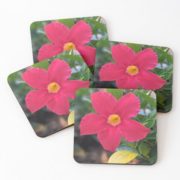 Item preview, Pink and Yellow Flower Photographic Image designed and sold by AustaArt.