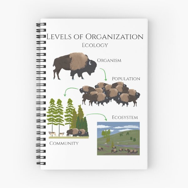 Item preview, Levels of Organization, Ecology designed and sold by Biology Simulations.
