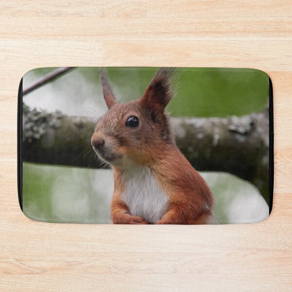 Item preview, That grey needs to go. Eurasian red squirrel designed and sold by Jouko Lehto Photography.