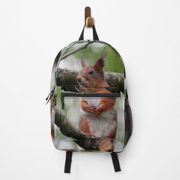 Item preview, That grey needs to go. Eurasian red squirrel designed and sold by Jouko Lehto Photography.