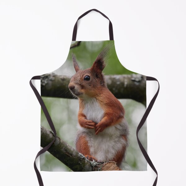 Item preview, That grey needs to go. Eurasian red squirrel designed and sold by Jouko Lehto Photography.