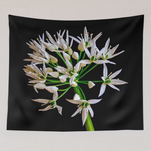 Item preview, Wild Garlic Macro designed and sold by manateevoyager.