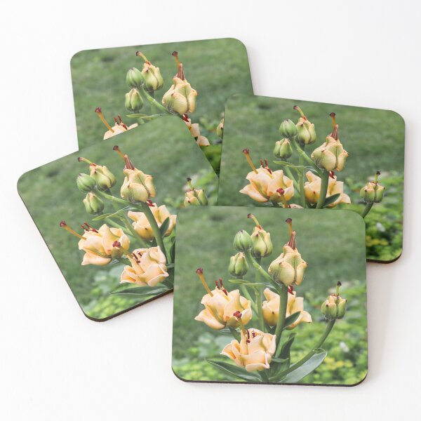 Item preview, Apricot Lily Fudge on a Green Garden Plate designed and sold by ArtbyDigman.