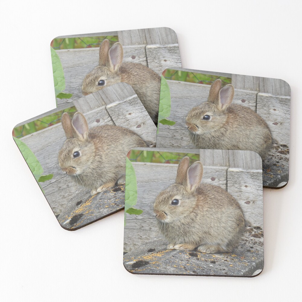 Item preview, Coasters (Set of 4) designed and sold by sandysshoots.