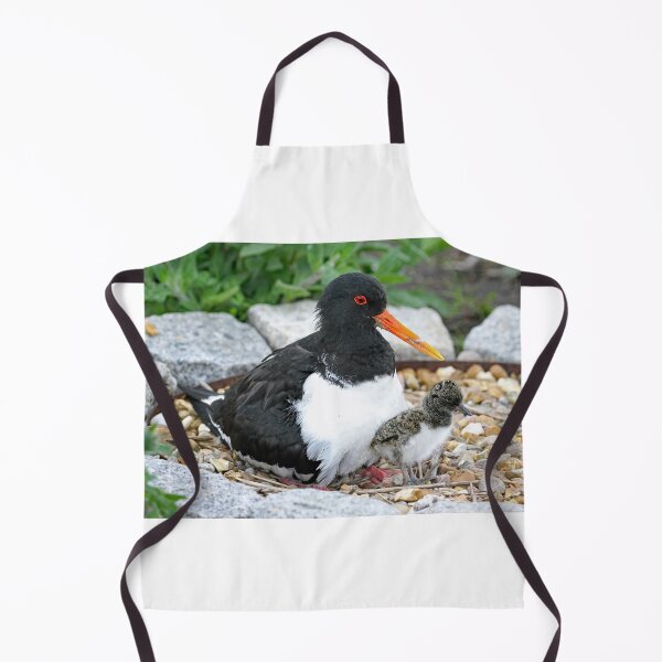 Item preview, Oystercatcher with Chick designed and sold by sandysshoots.