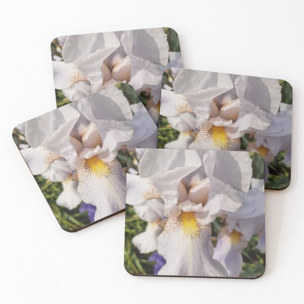 Item preview, White iris designed and sold by jdphotos.
