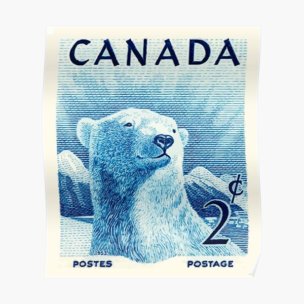 Vintage 1953 Canada Polar Bear Postage Stamp Poster
