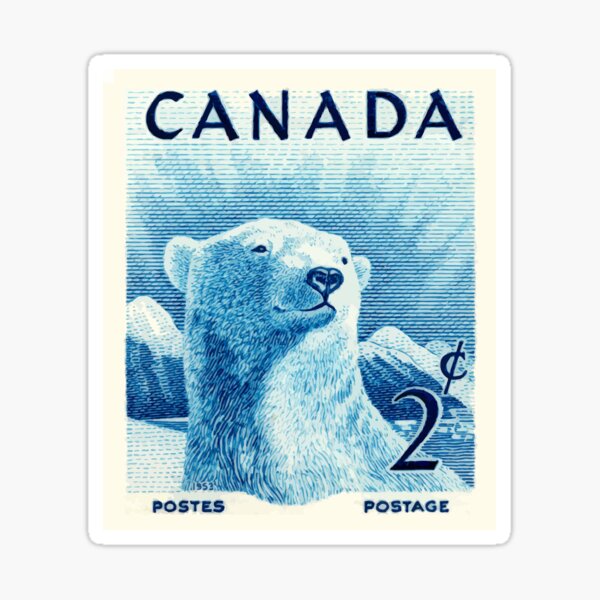 Polar Bear Sticker Sweater Waterproof - Buy Any 4 For $1.75 Each Storewide!