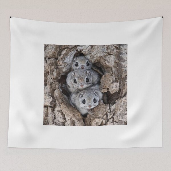 Item preview, Just 3 cutest things designed and sold by moske98.