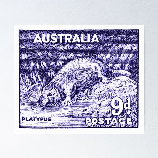 Item preview, Vintage 1956 Australia Platypus Postage Stamp designed and sold by retrographics.