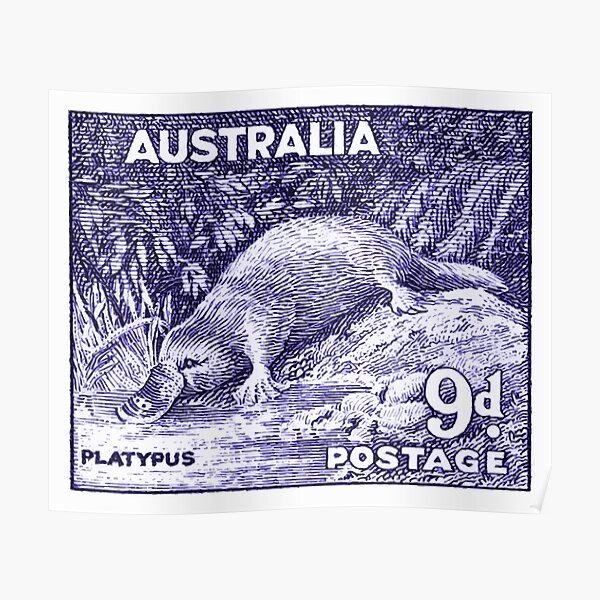 Vintage 1956 Australia Platypus Postage Stamp Poster