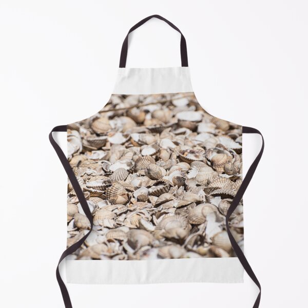 Item preview, Seashells designed and sold by Duncan Day.