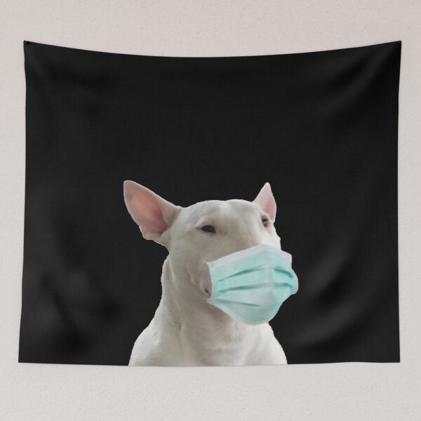 Item preview, Walter Quarantined Mask designed and sold by RarePNGs.