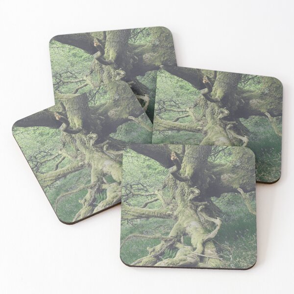 Item preview, There is a pleasure in the pathless woods - Dunning Glen designed and sold by ShinyPhoto.