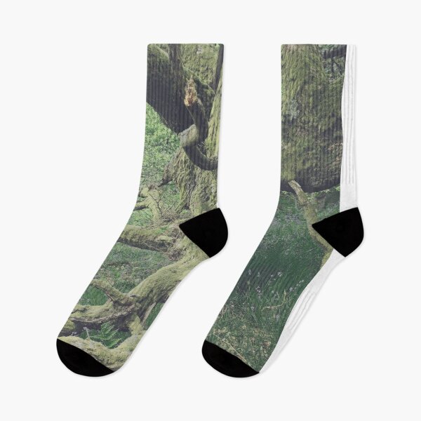Item preview, There is a pleasure in the pathless woods - Dunning Glen designed and sold by ShinyPhoto.