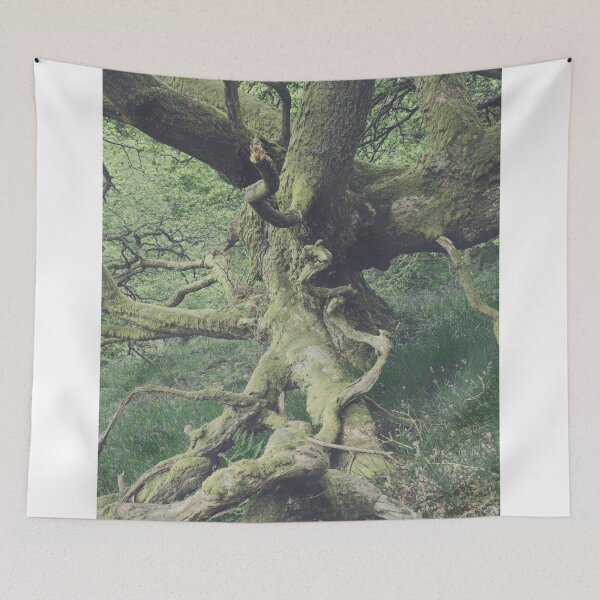 Item preview, There is a pleasure in the pathless woods - Dunning Glen designed and sold by ShinyPhoto.