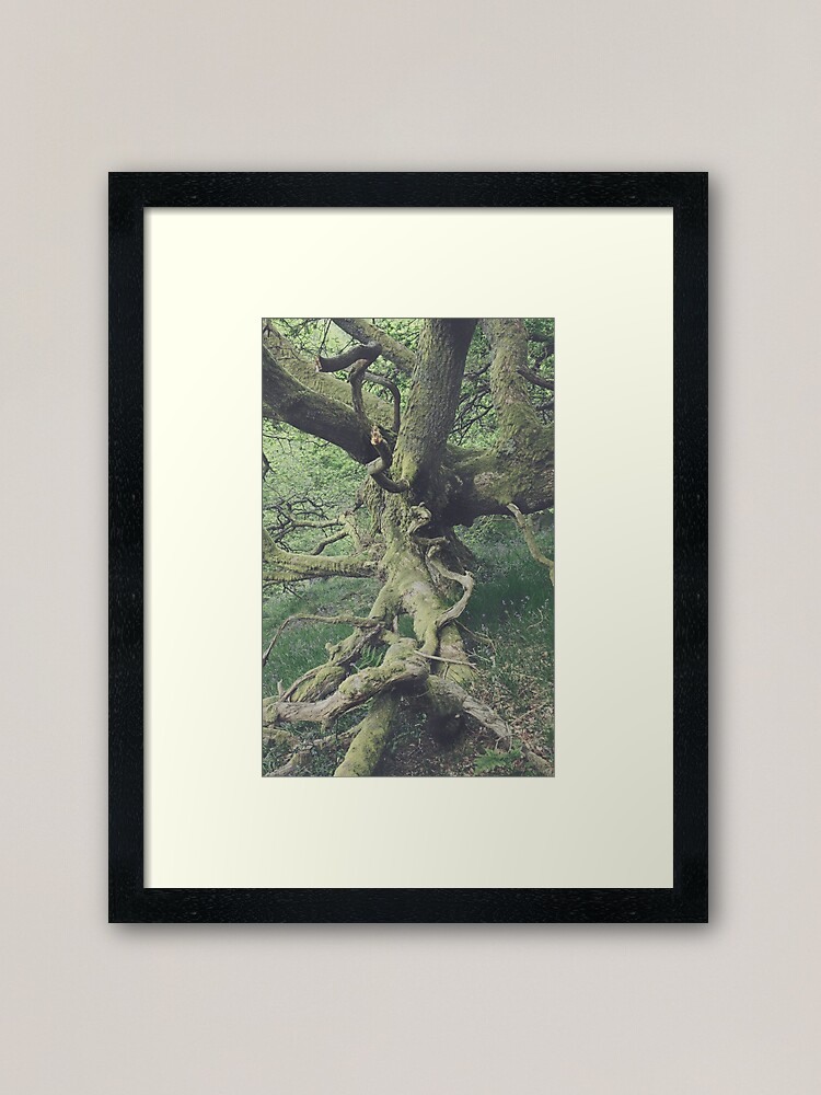Alternate view of There is a pleasure in the pathless woods - Dunning Glen Framed Art Print