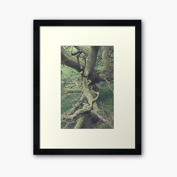 There is a pleasure in the pathless woods - Dunning Glen Framed Art Print