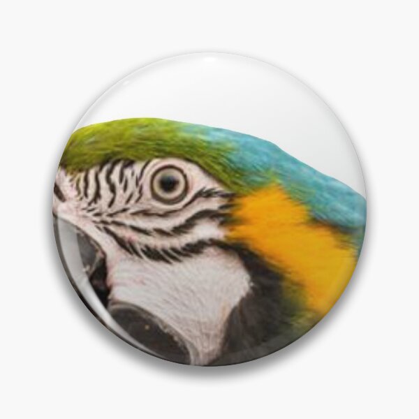 Item preview, Talking Parrot  designed and sold by gouravgyl.