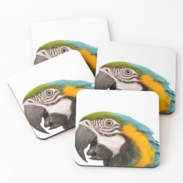 Item preview, Talking Parrot  designed and sold by gouravgyl.