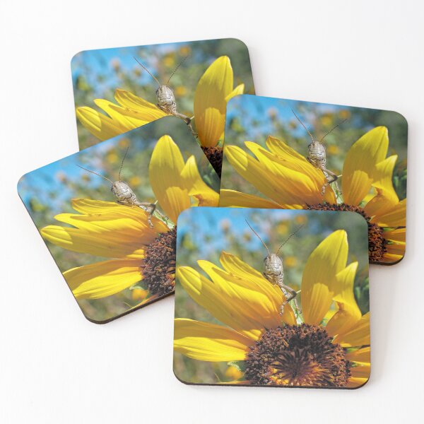 Item preview, Brunch designed and sold by Becky Titus.