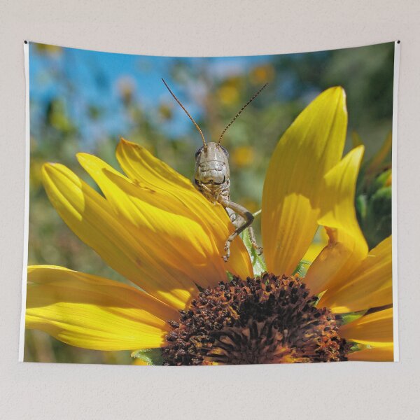 Item preview, Brunch designed and sold by Becky Titus.