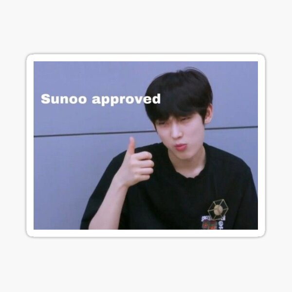Sunoo Aproved Sticker