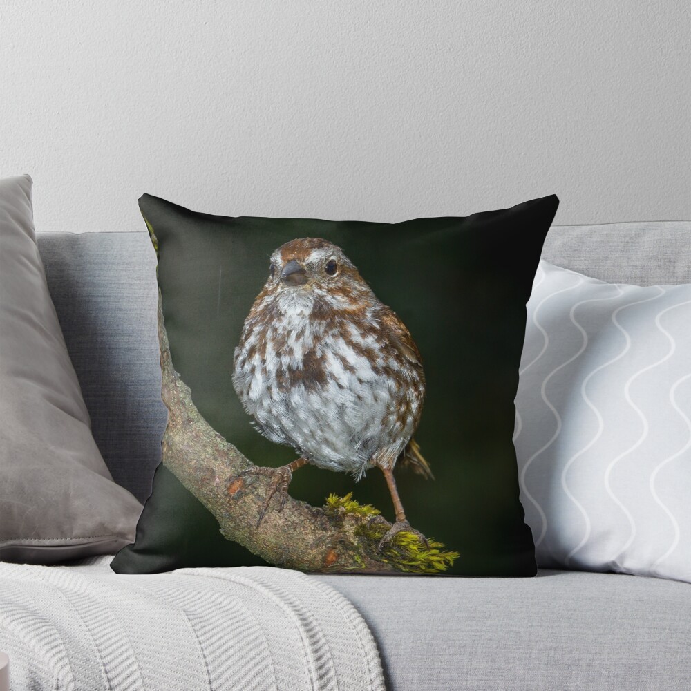 Item preview, Throw Pillow designed and sold by RandyHume.