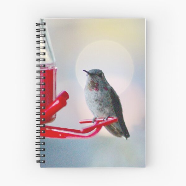 Item preview, Hummingbird sun halo designed and sold by Sandi Walmsley.