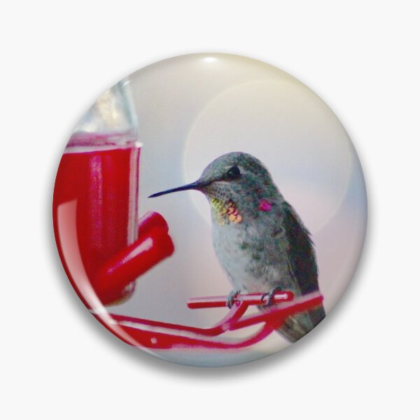 Item preview, Hummingbird Halo designed and sold by Sandi Walmsley.